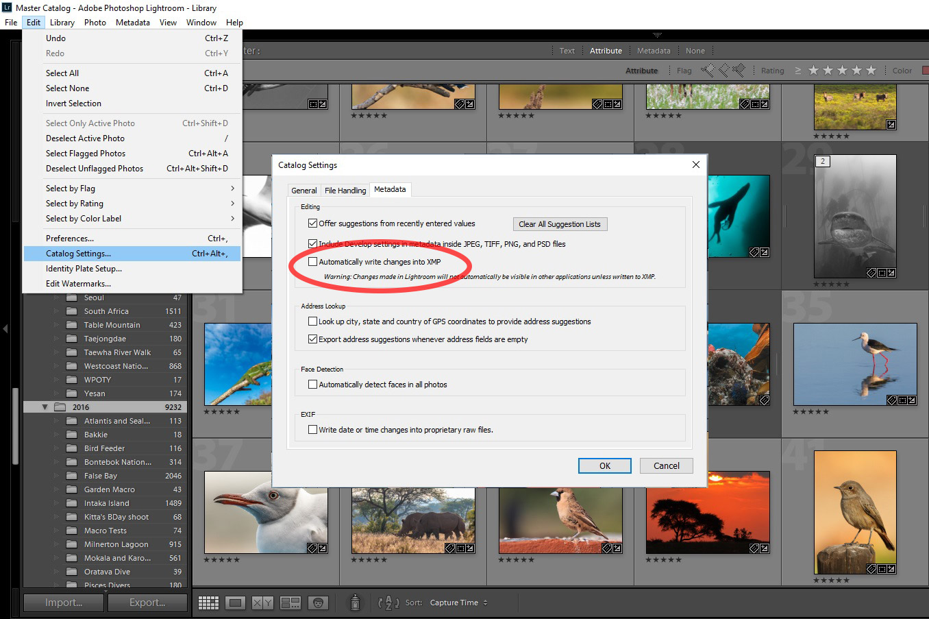 Automatically write changes to XMP in Adobe Lightroom