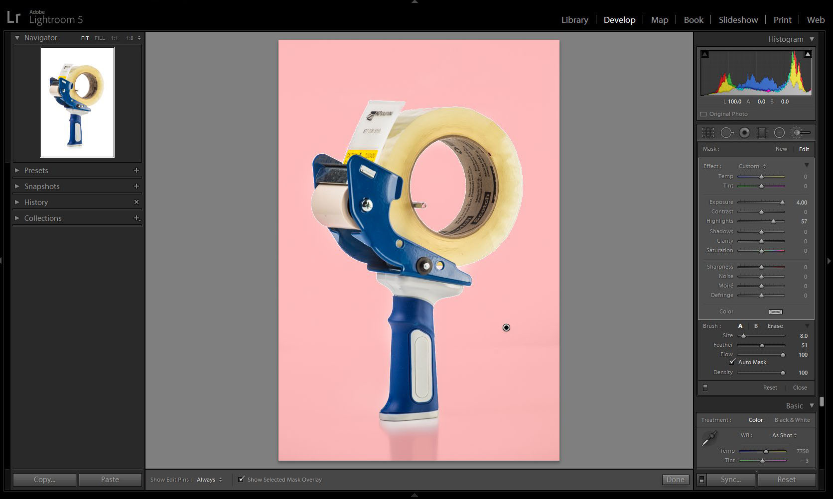 Lightroom window with product photograph being masked using a brush and auto mask